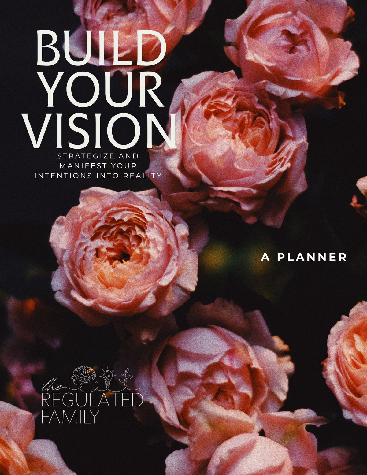Build Your Vision Guide